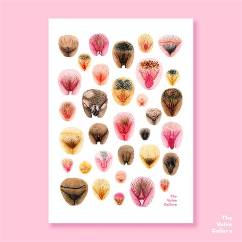 vulva pics|The Vulva Gallery 